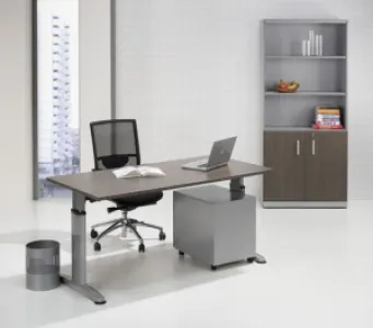Ergonomische Bureautafel | 160x80cm | NEN-EN527 | Verstelbaar